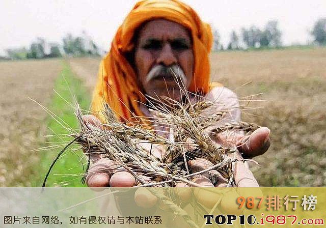 世界十大粮食生产国之印度