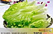 十大最常见的叶菜类蔬菜品种TOP1-生菜