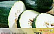 常见低热量蔬菜之最LOGO