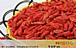 十大热门宁夏特产TOP1-宁夏枸杞
