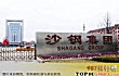 苏州十大企业排名TOP1-沙钢集团