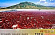 世界最奇特的十大湖泊TOP1-纳特龙湖