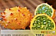 十大最难吃的水果TOP1-火参果