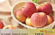 中国最受欢迎的十大水果TOP1-苹果