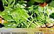 十大最有营养的蔬菜TOP1-菠菜