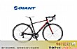 全球十大公路自行车品牌TOP1-捷安特giant