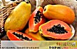 降血压的十大水果TOP1-木瓜