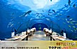 全球十大奇特餐厅TOP1-马尔代夫海底餐厅