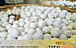 汕头必买的十大特产TOP1-达濠鱼丸