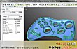 机械行业最常用十大软件TOP1-autodesk moldflow