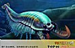 远古十大生物排行榜TOP1-奇虾