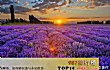 国内十大旅游排行榜TOP1-伊犁