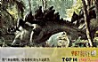 斯皮尔伯格十大经典影片TOP1-侏罗纪公园