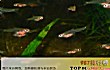 海洋里最小的十大动物排名TOP1-露比精灵灯