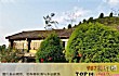 汕尾十大购物胜地排名TOP1-莲丰茶苑