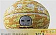佛山十大运动健身场所TOP1-无界特训