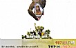 北美十大纪录电影排行榜TOP1-可爱的动物