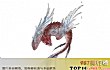 中国神话中十大上古神鸟TOP1-鲲鹏