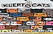 十大佛系游戏排行榜(2018年)TOP1-小偷猫