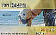 十大奇特动物TOP1-独眼鲨鱼