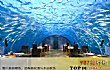 全球十大选址奇特的假日餐厅TOP1-海底餐厅(马尔代夫港丽岛)