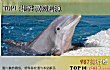 世界动物杀手之最LOGO