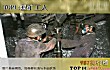 中国十大高危职业排行TOP1-煤矿工人