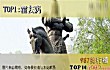 中国古代十大战神TOP1-霍去病