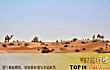 世界十大最大半岛TOP1-阿拉伯半岛