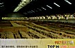 中国考古十大帝王墓TOP1-秦始皇陵
