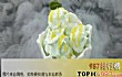 抖音十大网红冰淇淋TOP1-冒烟冰淇淋