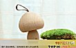 天蝎女十大喜欢的礼物TOP1-创意原木质音乐盒