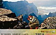 十大美国最危险的火山TOP1-夏威夷几劳亚活火山