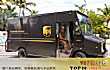 全球收入最高的十大物流公司TOP1-美国联合包裹服务公司