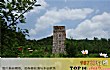 河南名村之最LOGO