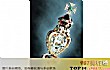 世界十大名钻TOP1-非洲之星