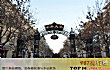 哈尔滨十大必游景点TOP1-中央大街