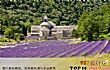世界十大求婚圣地TOP1-法国普罗旺斯