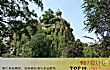 法国巴黎十大旅游景点TOP1-the parc des buttes-chaumont 秀蒙丘公园