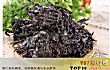 为你揭晓世界十大伪科学TOP1-塑料袋做成的紫菜
