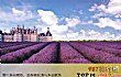 法国最美十大别墅TOP1-薰衣草农庄别墅