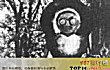 世界上十大怪物TOP1-弗拉特伍兹怪物