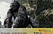 数字飙榜十大怪物电影TOP1-金刚