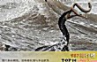 世界十大怪物TOP1-欧肯纳根水怪