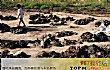 世界十大最危险地区TOP1-伊拉克