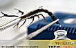 世界十大最贵的液体TOP1-蝎毒
