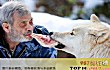 世界最怪十大宠物TOP1-狼
