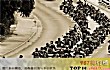 世界十大黑帮TOP1-地狱天使