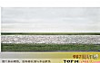 世界十大经典摄影作品TOP1-莱茵河2号