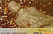 世界十大骗局TOP1-造假加迪夫巨人化石